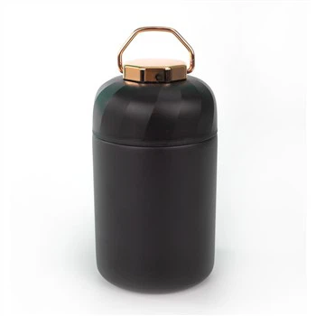 Stainless Steel Food Jar with Handle